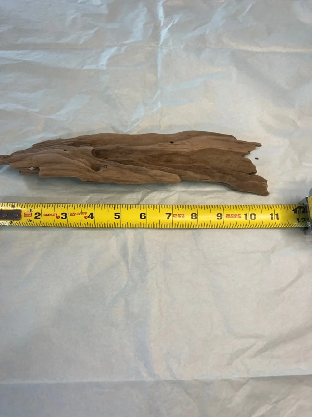 Natural Driftwood Decor found at Potomac River- Brown - Picture 12 of 14